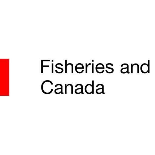 Coast Guard fines owner $13,500 after failure to remove 'hazardous' vessel